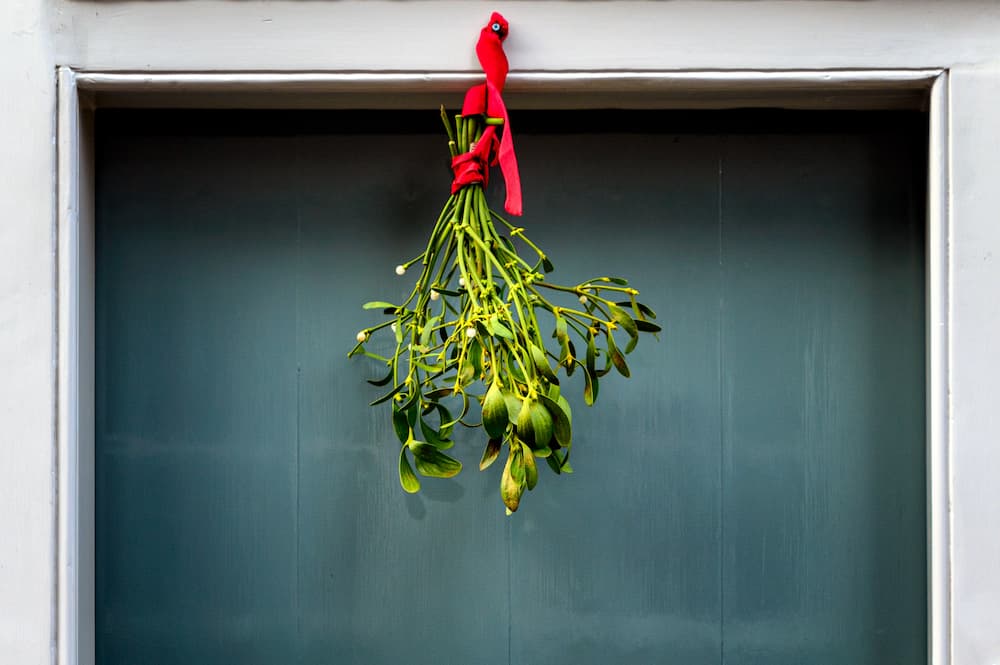 What if the mistletoe kiss tradition was born to commemorate someone? (Paul Zoetemeijer/Unsplash)